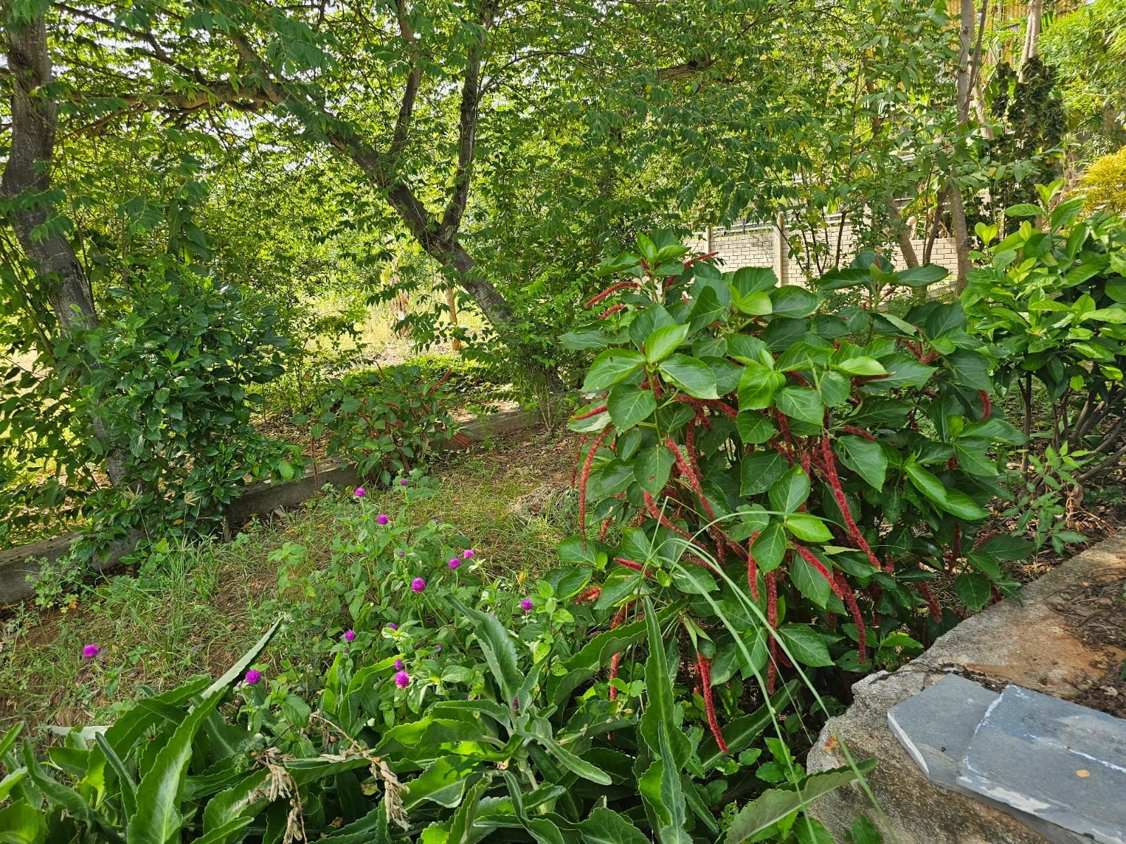 Farm Land - Trichy